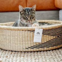 Load image into Gallery viewer, Fluffy Cat Bed - Cat-Small Dog Bed With Cushion