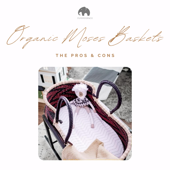 Organic Moses Bassinet: The Pros and Cons of Buying One