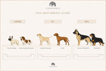 Load image into Gallery viewer, The image is a guide to dog breeds, showing the different sizes of dogs and their corresponding breeds.