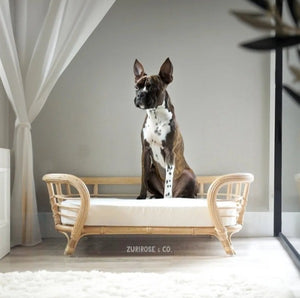 XL Handmade Rattan Dog Bed - ZuriRose & Co LLC