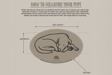 Load image into Gallery viewer, The image is a guide on how to measure a dog's length and width, with a simple illustration of a dog lying down.