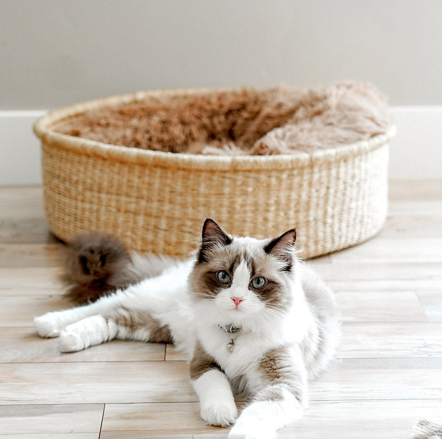 African Cat bed Basket