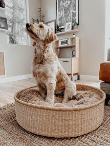 Round XL Woven Dog Bed