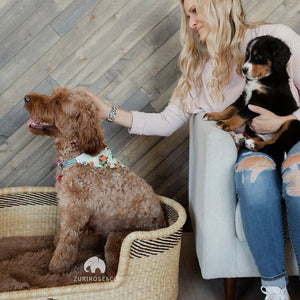 Large Woven Dog Bed